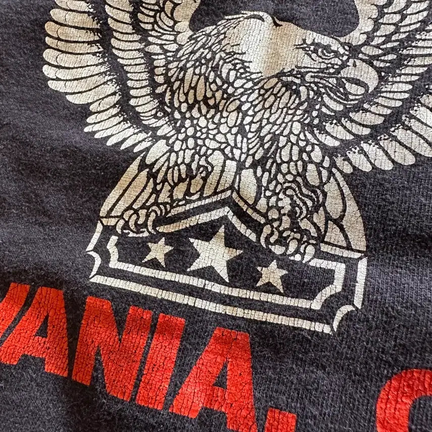 [BUNJANG] Harley Davidson Holoubek Eagle Vintage T-shirt / 80s  Harley davidson Holoubek Eagle - XL