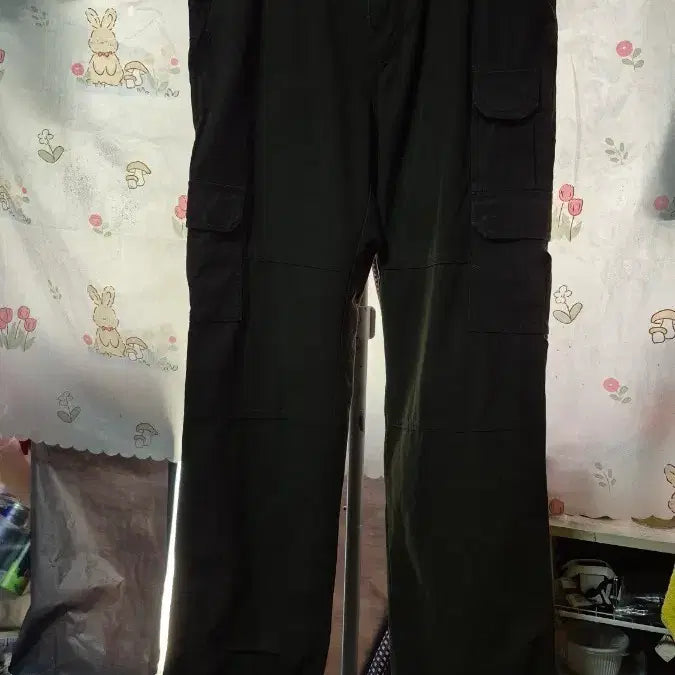[BUNJANG] Lafuma Cargo Pants / 라퓨마   카고  바지