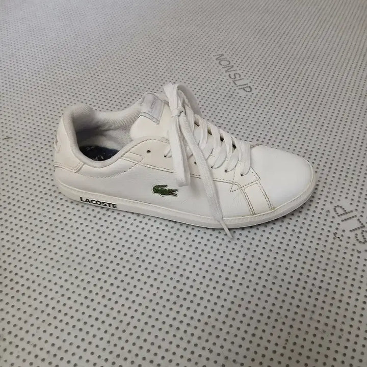 [BUNJANG] Lacoste White Sneakers / 라코스테 흰색 스니커즈 운동화
