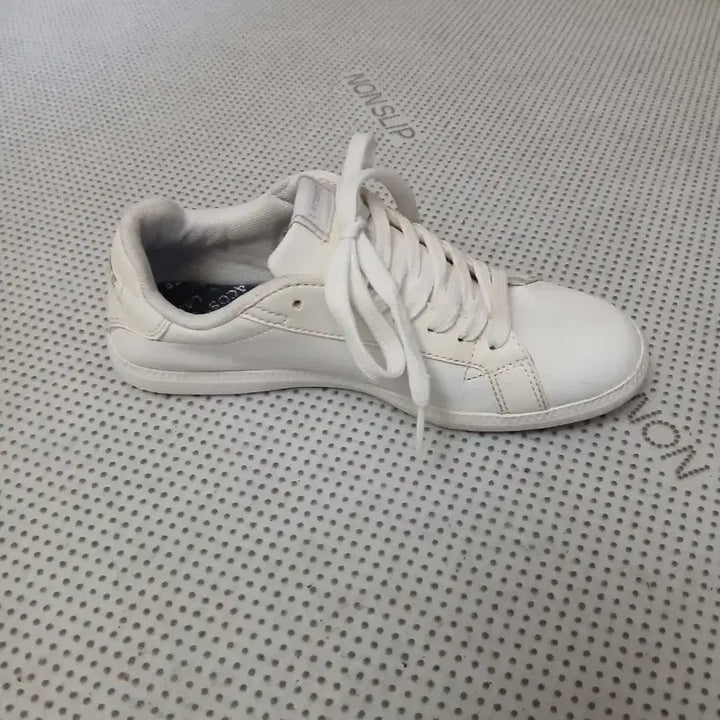 [BUNJANG] Lacoste White Sneakers / 라코스테 흰색 스니커즈 운동화