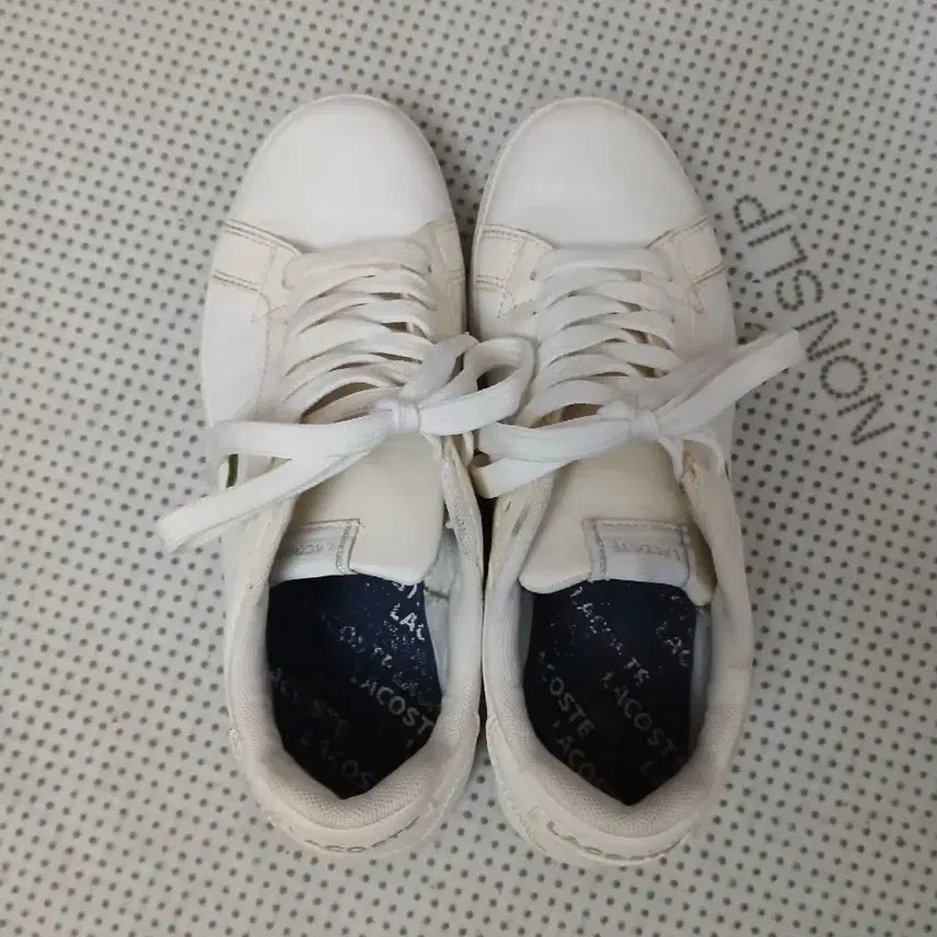[BUNJANG] Lacoste White Sneakers / 라코스테 흰색 스니커즈 운동화