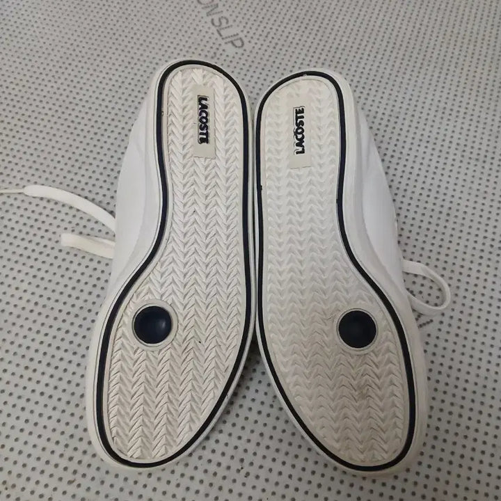 [BUNJANG] Lacoste White Sneakers / 라코스테 흰색 스니커즈 운동화