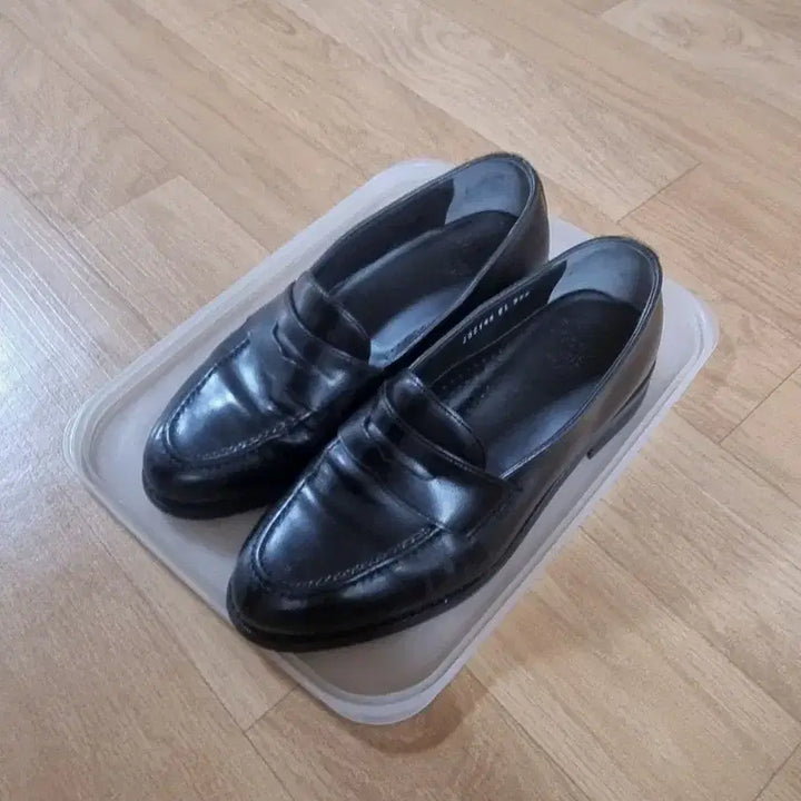 [BUNJANG] Josepht Daniel Loafer 255 / 조셉트 daniel 로퍼 255