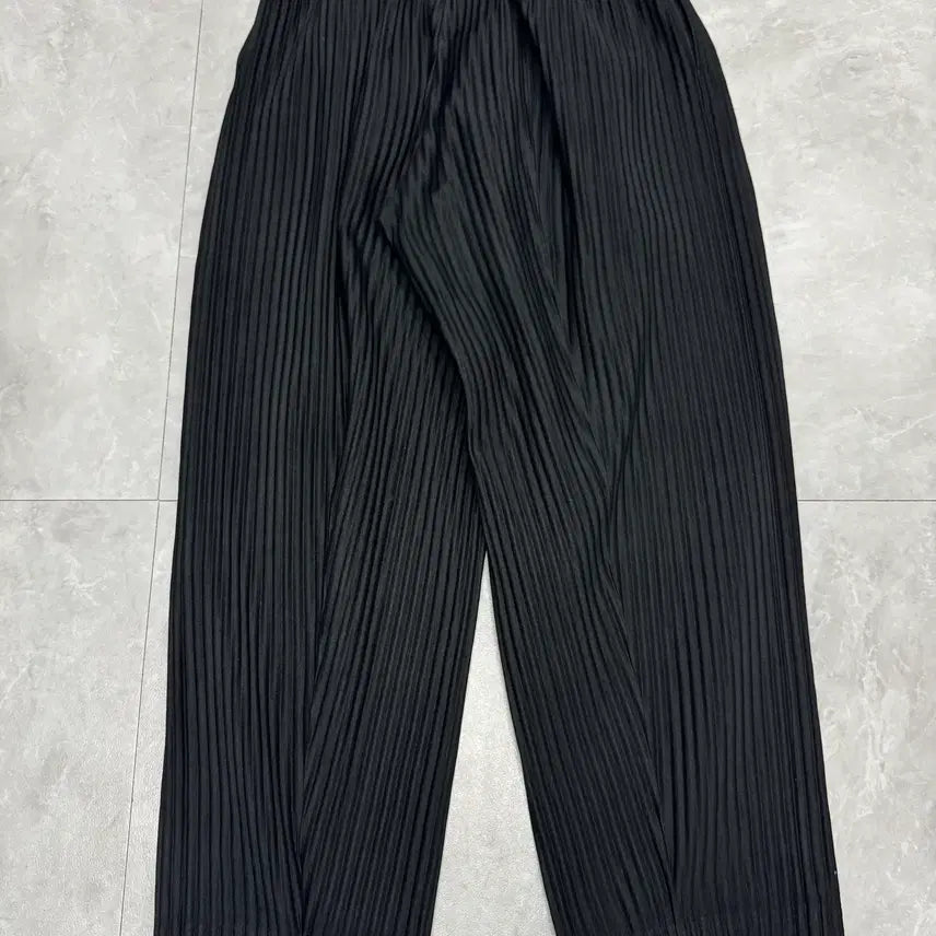 [BUNJANG] Issey Miyake Homme Plissé 23SS Trousers / 2 (30) 옴므 플리세 이세이 미야케 Issey Miyake 23SS