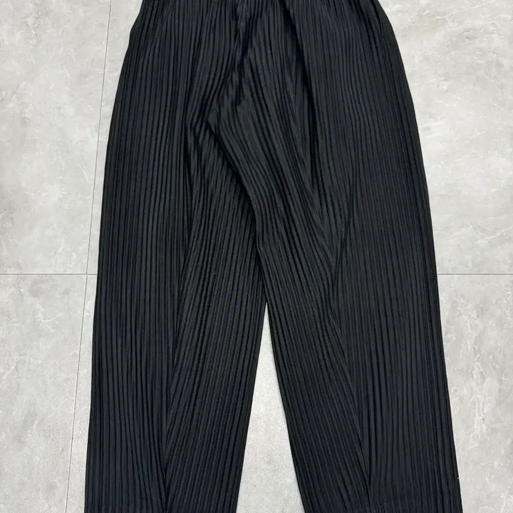 [BUNJANG] Issey Miyake Homme Plissé 23SS Trousers / 2 (30) 옴므 플리세 이세이 미야케 Issey Miyake 23SS