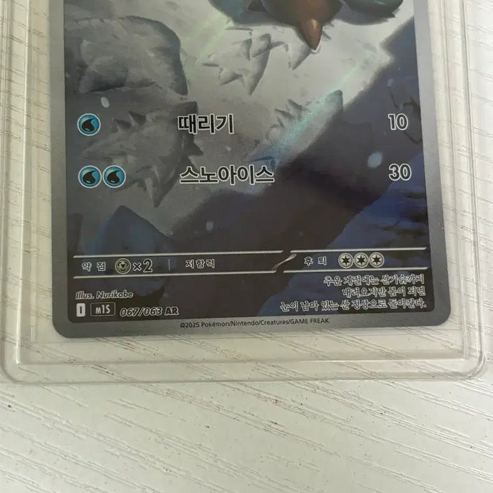 [SOLD OUT] [포켓몬스터 카드] 눈쓰개 AR