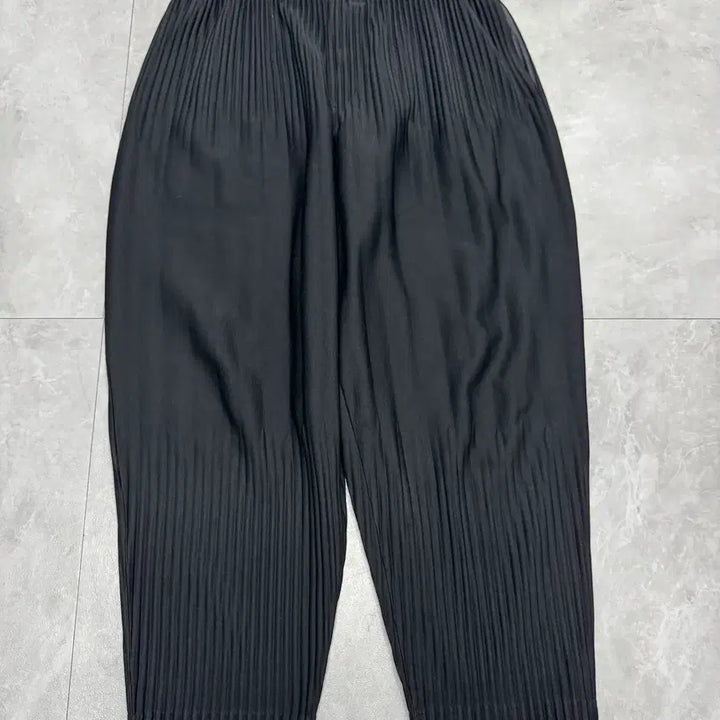 [BUNJANG] Homme Plissé Issey Miyake Pleated Trousers / 2 (30) 옴므 플리세 이세이 미야케 Issey Miyake