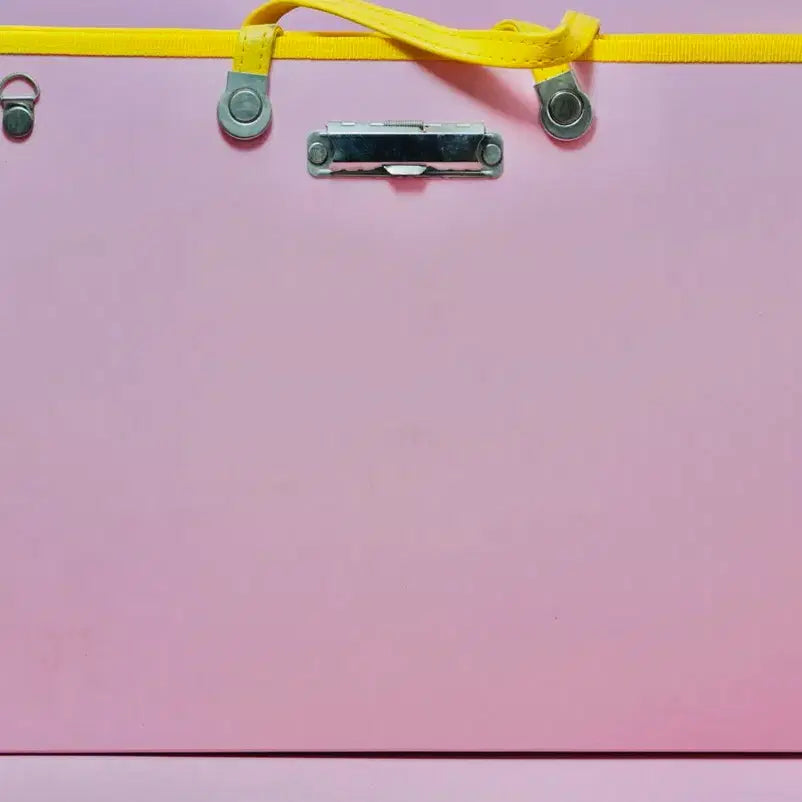 [BUNJANG] Retro Frog and Dragonfly Princess Painting Bag / 개구리 공주 잠자리 공주 그림 가방 화판 레트로 근대사 수집