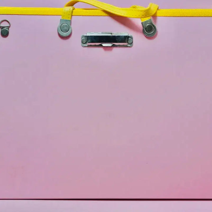 [BUNJANG] Retro Frog and Dragonfly Princess Painting Bag / 개구리 공주 잠자리 공주 그림 가방 화판 레트로 근대사 수집