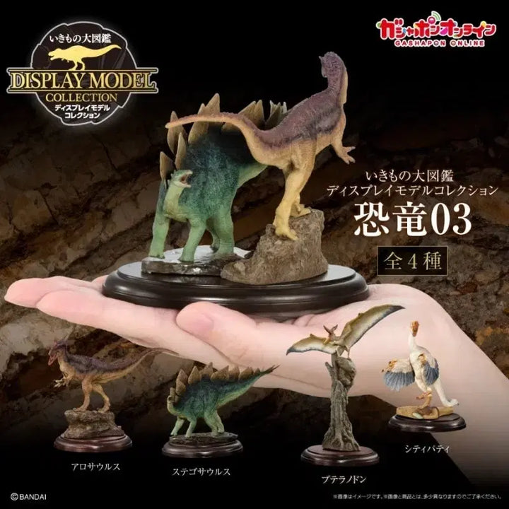 [SOLD OUT] 반다이 생물대도감 공룡 피규어 1~3 세트 판매