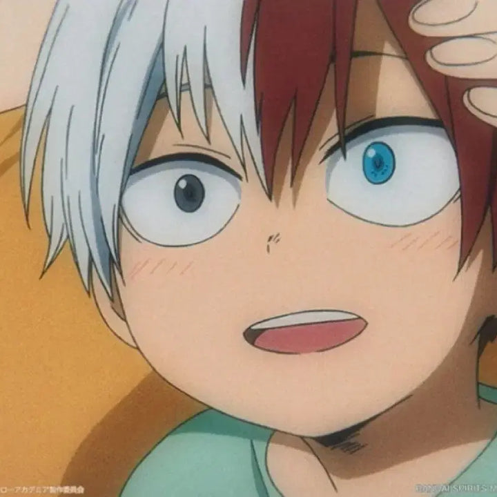 [BUNJANG] My Hero Academia Shoto Illustration Board / (미개봉) 나의 히어로 아카데미아 이어지는 마음 제일복권 H상 쇼토