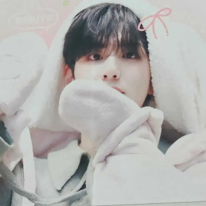 [BUNJANG] DAY6 Wonpil Bunny Slogan / [양도] 원필 바니 슬로건