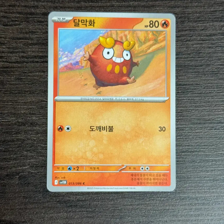 [BUNJANG] Pokemon TCG Fiery Tin, BW Series Cards / 포켓몬카드 달막화 판매 2