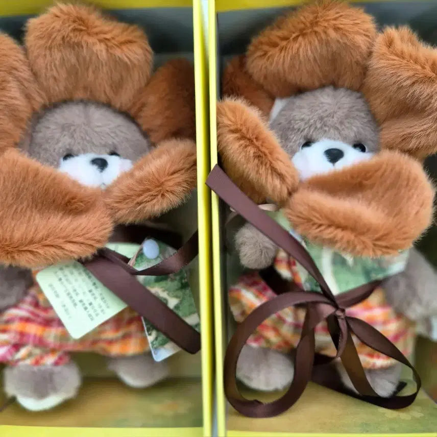 [BUNJANG] Teddy Tales Pocket Flower Coffee Brown Plush / 테디테일즈 포켓플라워 커피브라운