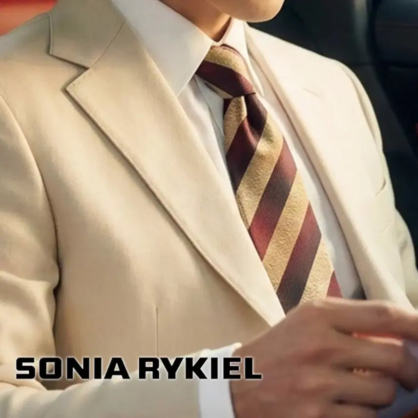 [BUNJANG] Sonia Rykiel Brown Burgundy Stripe Silk Tie / 소니아 리키엘 브라운 스트라이프 넥타이 9.5cm A+등급 E919