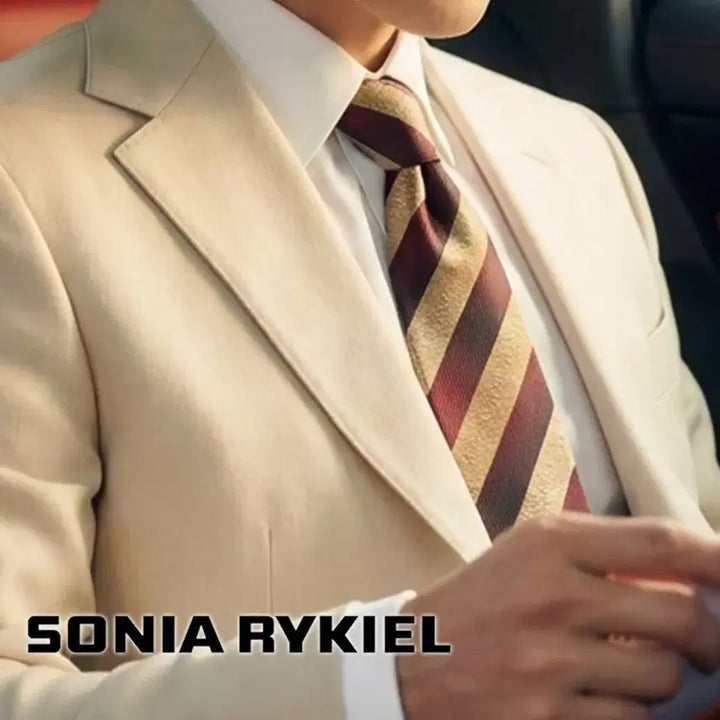 [BUNJANG] Sonia Rykiel Brown Burgundy Stripe Silk Tie / 소니아 리키엘 브라운 스트라이프 넥타이 9.5cm A+등급 E919