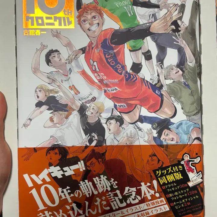 [BUNJANG] Haikyu Chronicle / 하이큐 크로니클