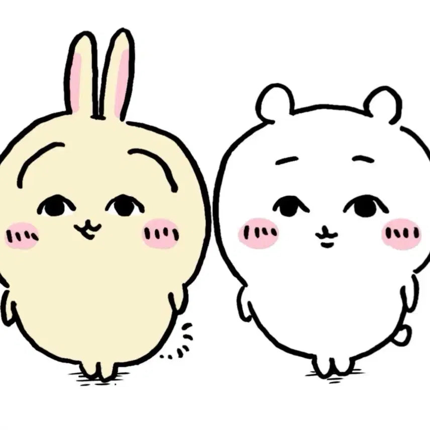 [SOLD OUT] 리바이룩업