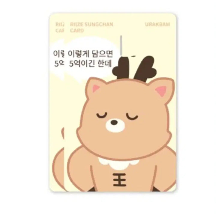 [BUNJANG] RIIZE Shotaro Card Cover Sticker / 라이즈 성찬 카드 커버 스티커A