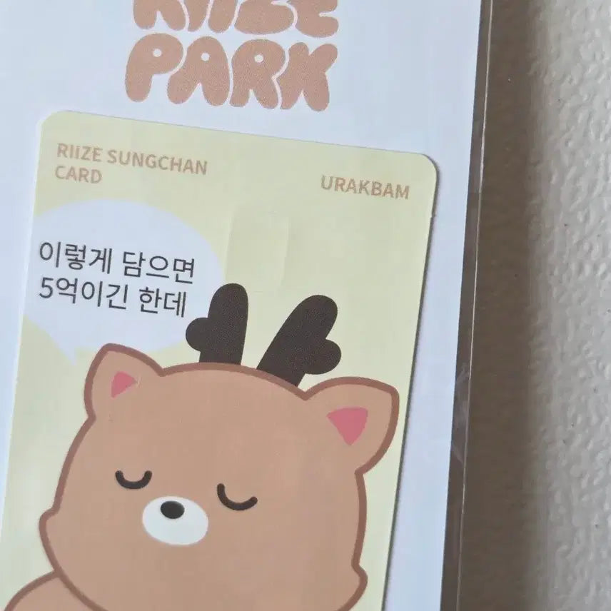 [BUNJANG] RIIZE Shotaro Card Cover Sticker / 라이즈 성찬 카드 커버 스티커A