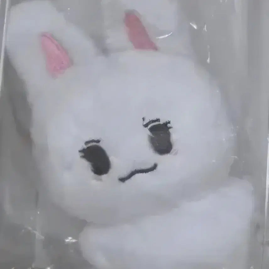 [BUNJANG] 아스트로 차은우 인형 래빗차 10cm / 아스트로 차은우 인형 래빗차 10cm