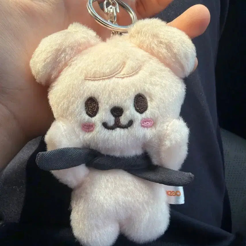 [SOLD OUT] 스키주 도미네이트 퍼핌 인형 양도