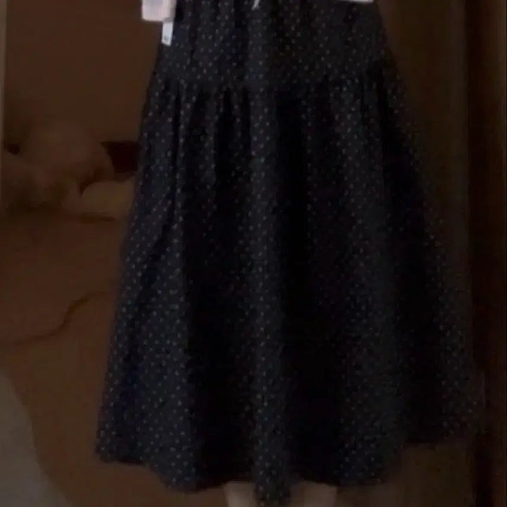 [BUNJANG] Dot Long Skirt / 도트 롱스커트