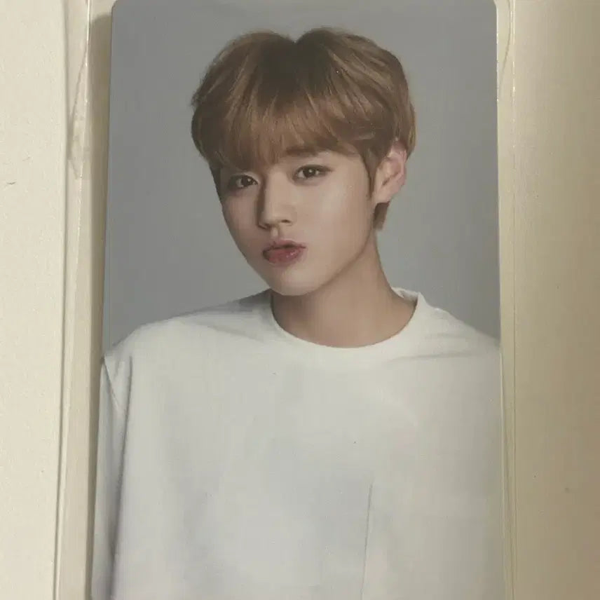 [BUNJANG] Park Jihoon Wanna One Lottea Raffle Photocard / 박지훈 워너원 시절 롯데리아 응모권 포카