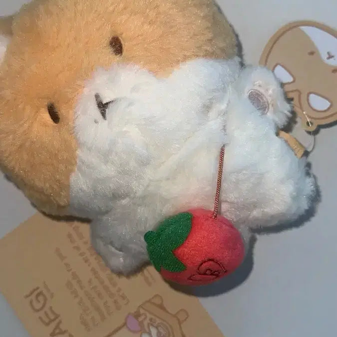 [BUNJANG] EXO Baekhyun 1st Teriyaki Plush Doll 20cm / 백현 터래기 인형 1차 20cm