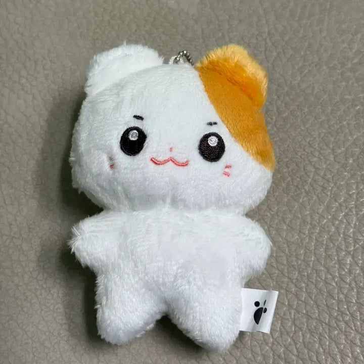 [BUNJANG] ZB1 (ZeroBaseOne) Sung Hanbin Doll / 제베원 솜베원 성한빈 인형 솜한빈 양도