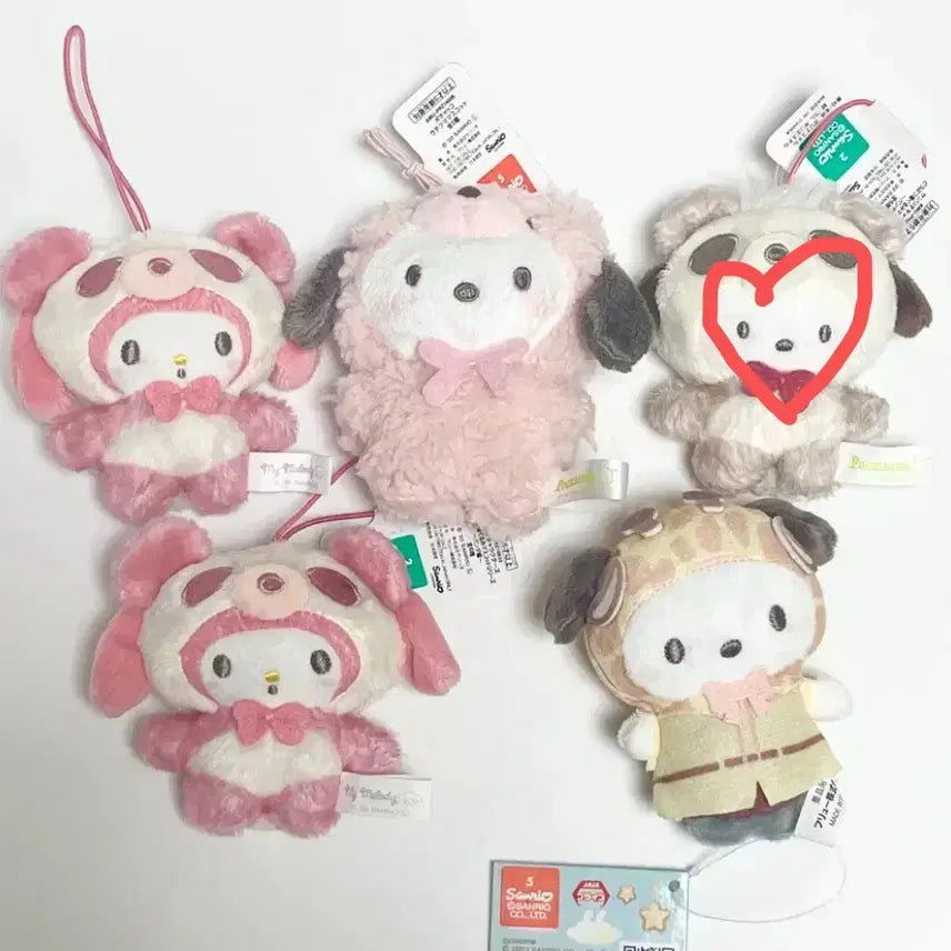 [BUNJANG] Sanrio My Melody Pochacco Plush Mascot / 산리오 마이멜로디 포차코 인형 마스코트 일본 정품 뽀글이