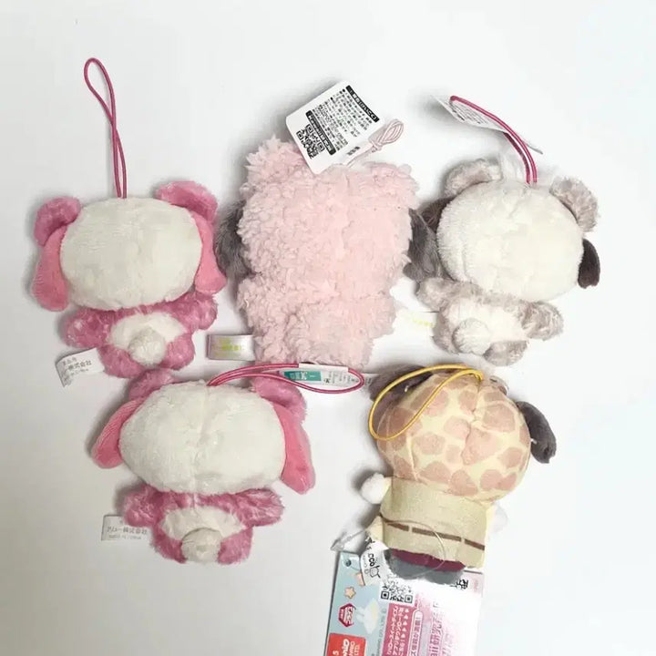 [BUNJANG] Sanrio My Melody Pochacco Plush Mascot / 산리오 마이멜로디 포차코 인형 마스코트 일본 정품 뽀글이