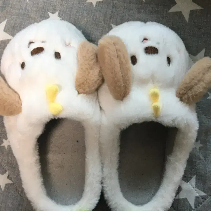 [SOLD OUT] 멍룡이 룸슈즈 라이즈 앤톤 소희 은석 원빈 쇼타로 성찬 원가이하양도