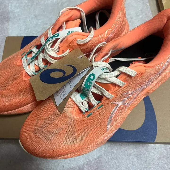 [BUNJANG] Asics NovaBlast 5 Tokyo Sun Peach Running Shoes / 아식스 노바블라스트5 도쿄 선피치 화이트 285mm