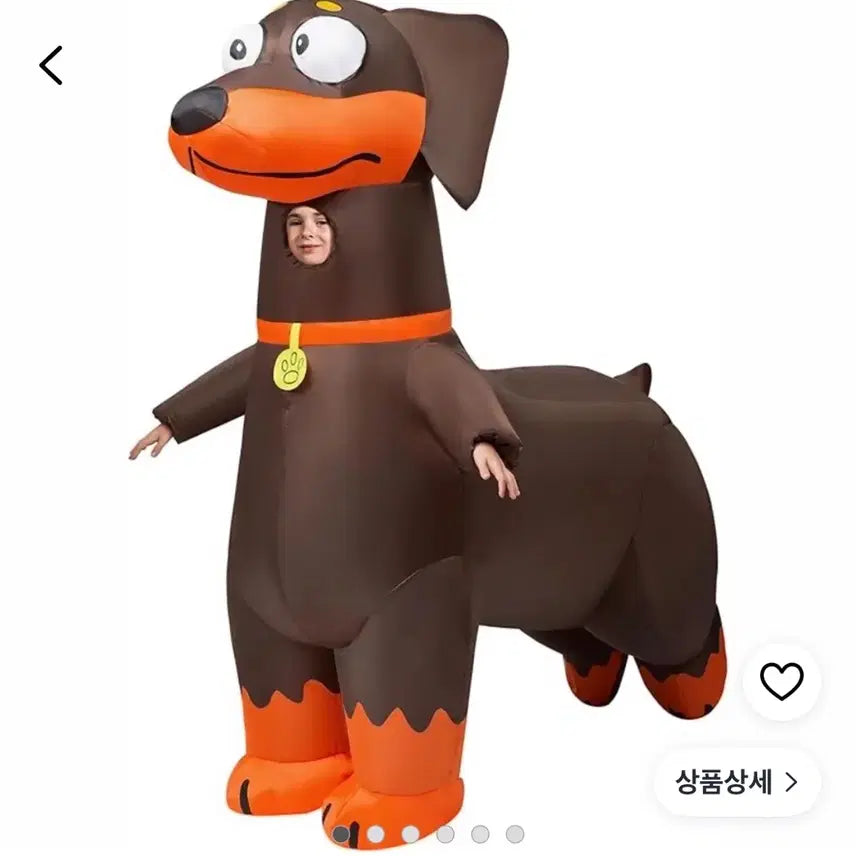 [SOLD OUT] 강아지 에어슈트 대여합니다!