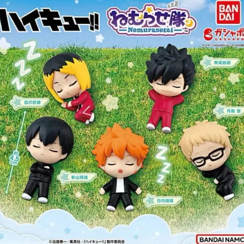 [BUNJANG] Haikyuu!! Nemurasetai Gacha Kuroo / 하이큐 네무라세타이 가챠 쿠로오 판매