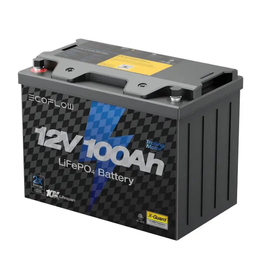 [BUNJANG] ECOFLOW 12V 100Ah LiFePO4 Battery / [판매] ECOFLOW 12V 100Ah 인산철배터리