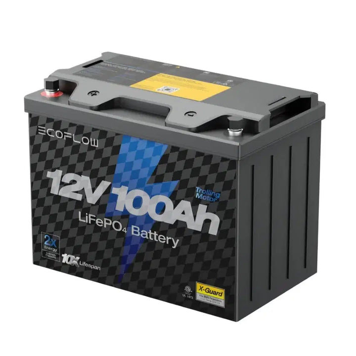 [BUNJANG] ECOFLOW 12V 100Ah LiFePO4 Battery / [판매] ECOFLOW 12V 100Ah 인산철배터리