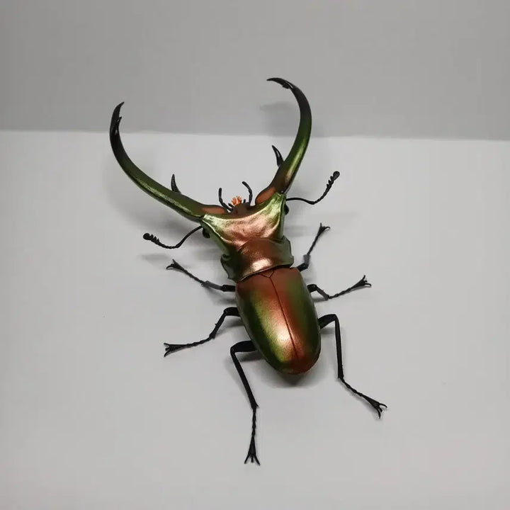 [BUNJANG] Bandai Elaphus Beetle Green Figure / 반다이 생물대도감 엘라푸스가위사슴벌레 그린