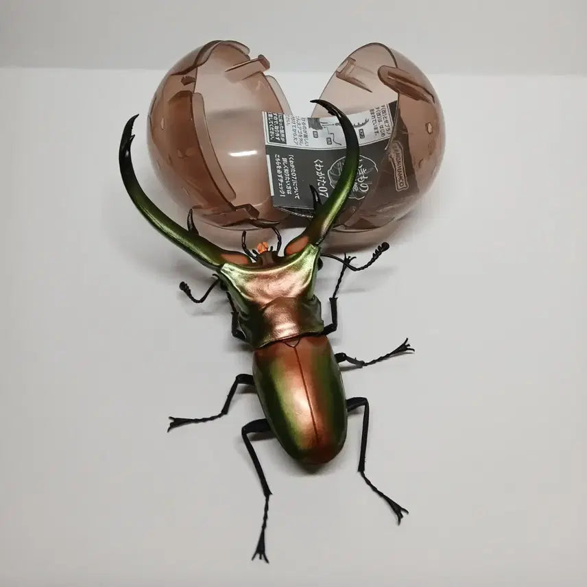 [BUNJANG] Bandai Elaphus Beetle Green Figure / 반다이 생물대도감 엘라푸스가위사슴벌레 그린
