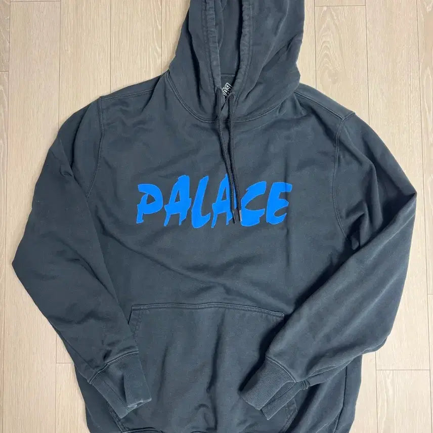 [BUNJANG] Palace Faze Hooded Sweatshirt / [M]팔라스 팔레이저 후드