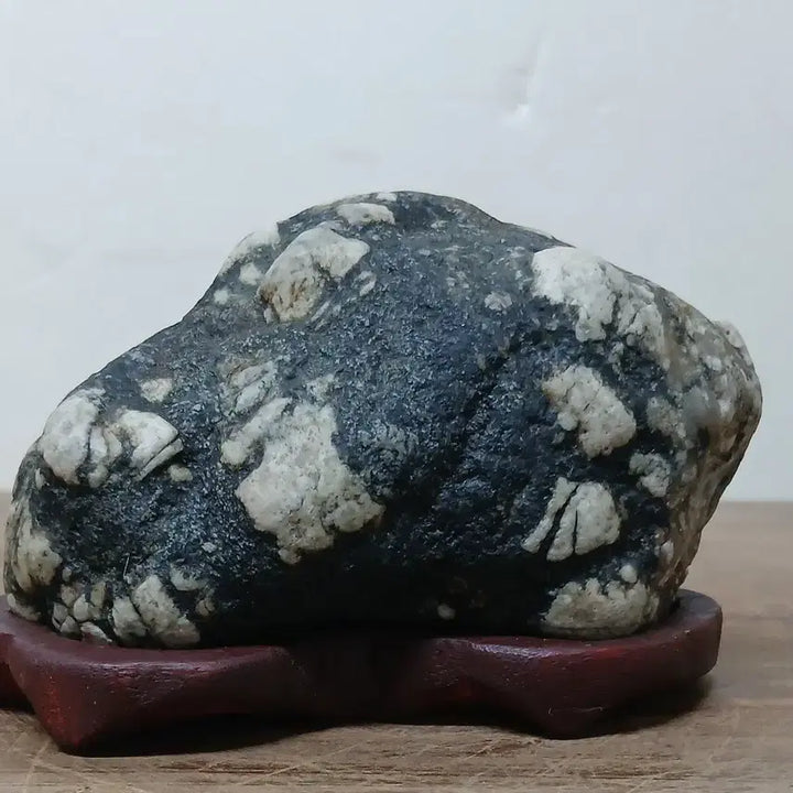 [SOLD OUT] 수석 자연수석 무주목화석