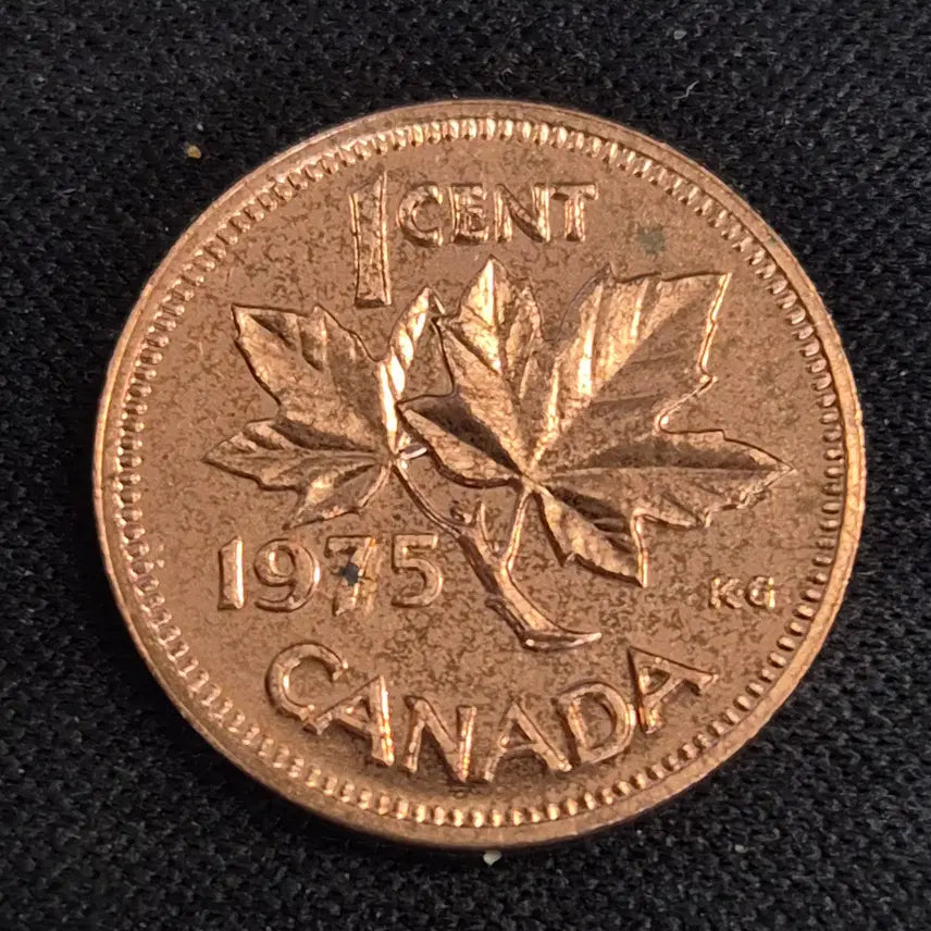 [BUNJANG] 1975 Canadian 1 Cent Coin / [EP. 2142] 1975년 캐나다 1센트 동전