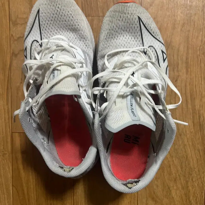 [BUNJANG] Mizuno Wave Rebellion Flash 2 Running Shoes / 미즈노 웨이브 리벨리온 Flash 2 런닝화
