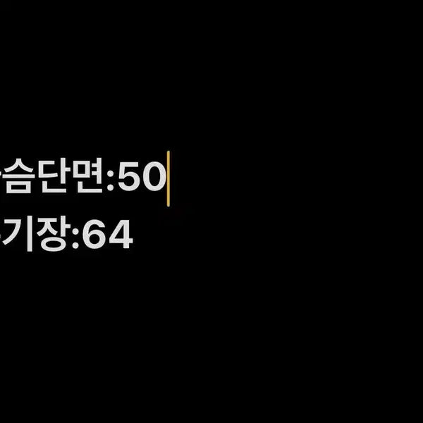 [SOLD OUT] [정품/105] 와이드앵글 여성 카라 긴팔 티   NN