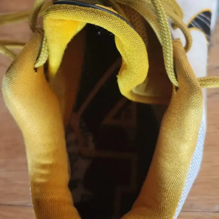 [BUNJANG] Nike Zoom Kobe 5 Del Sol Sneakers / 나이키 줌코비5 델솔 270