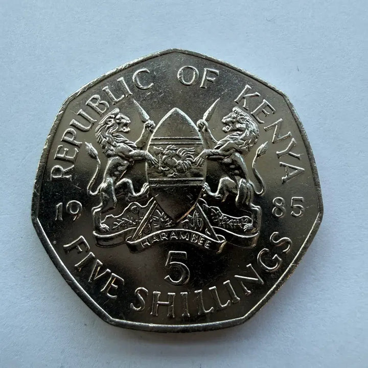 [BUNJANG] 1985 Kenya 5 Shilling Coin / 1985년 케냐 5실링 동전 S1772