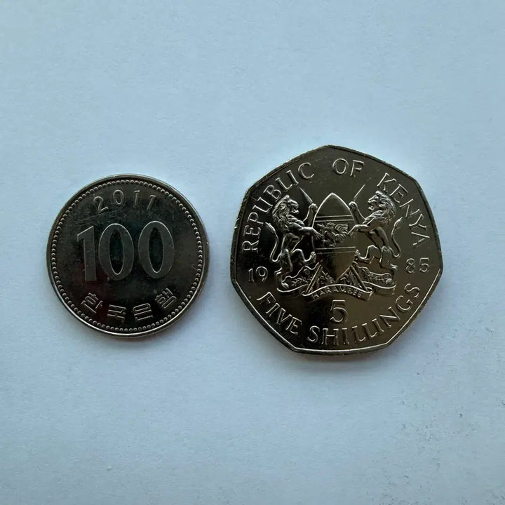 [BUNJANG] 1985 Kenya 5 Shilling Coin / 1985년 케냐 5실링 동전 S1772