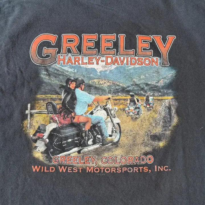 [BUNJANG] Harley-Davidson Black Flame Long Sleeve T-shirt / 할리데이비슨 정품 블랙 플레임 긴팔 티셔츠 롱슬리브