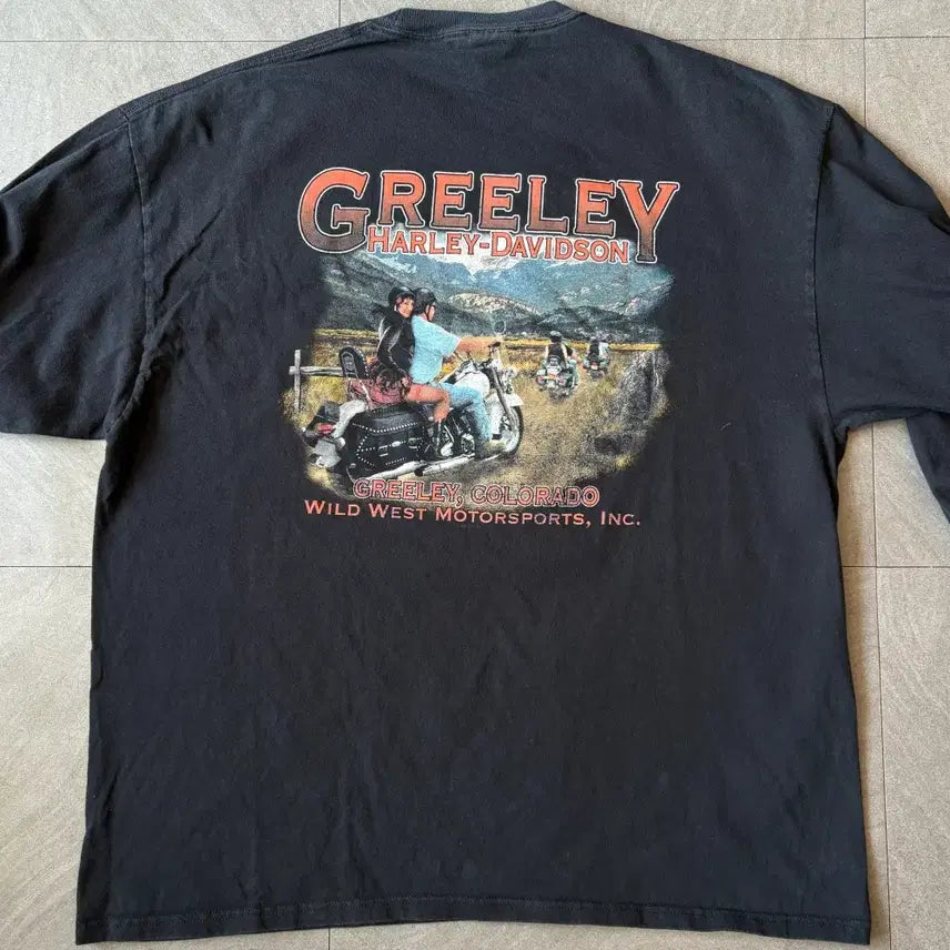 [BUNJANG] Harley-Davidson Black Flame Long Sleeve T-shirt / 할리데이비슨 정품 블랙 플레임 긴팔 티셔츠 롱슬리브